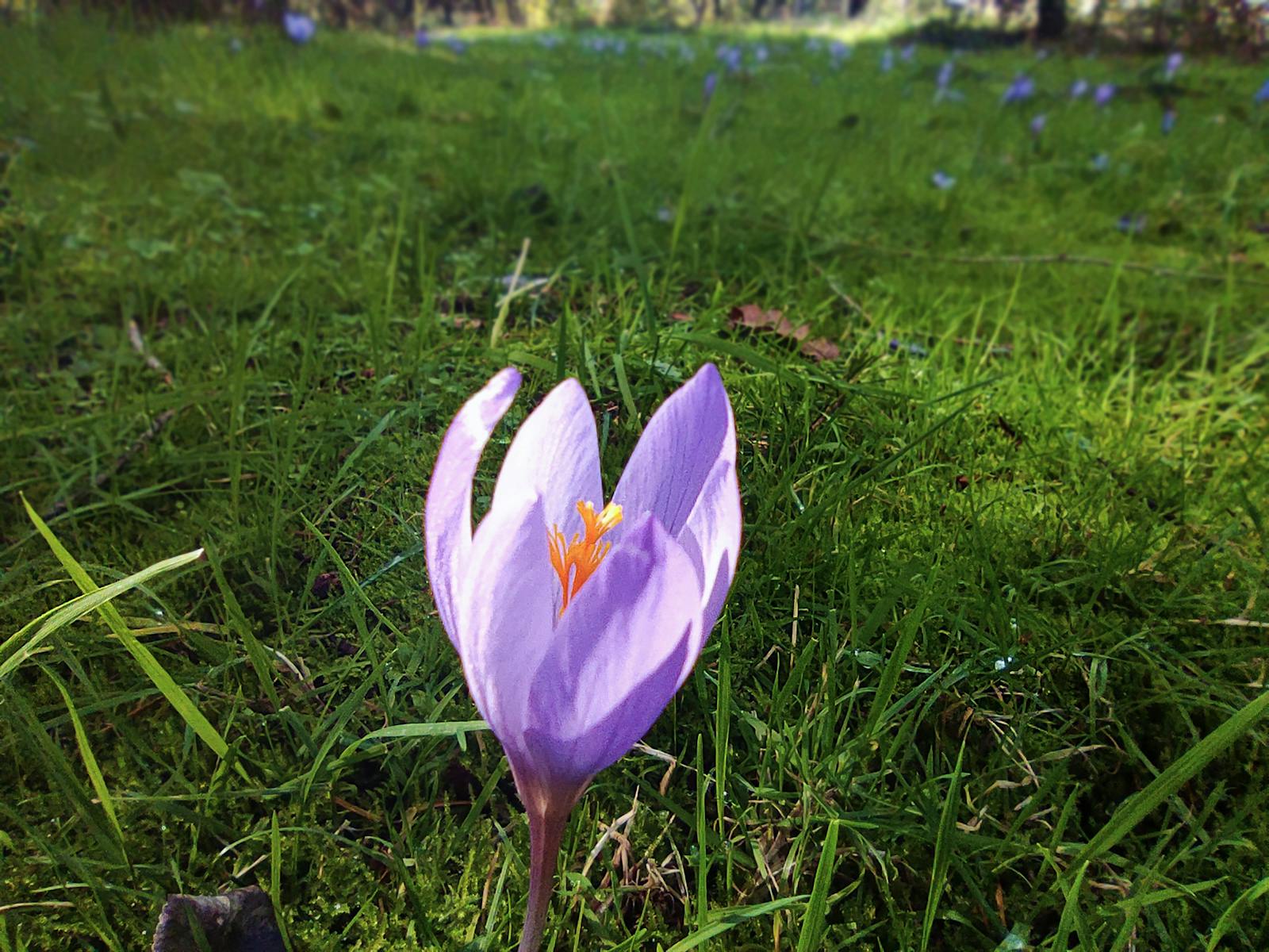 Luxurious New York apartment interior resembling wealthy family home
