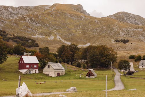 Foto profissional grátis de cabine, campina, casas