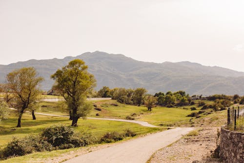 侵蝕, 山坡, 岩層 的 免费素材图片