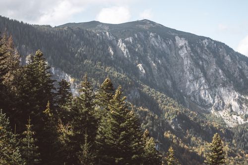 Free A breathtaking view of a mountainous landscape with lush pine trees in the foreground. Stock Photo