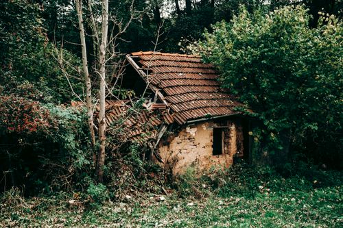 Free An old, dilapidated house surrounded by dense forest vegetation. Stock Photo