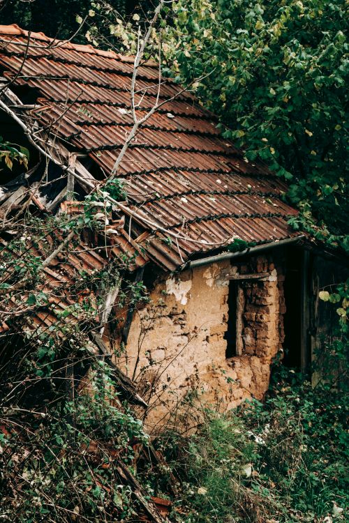Free A weathered brick house with roof tiles, embraced by lush greenery, stands in ruins. Stock Photo