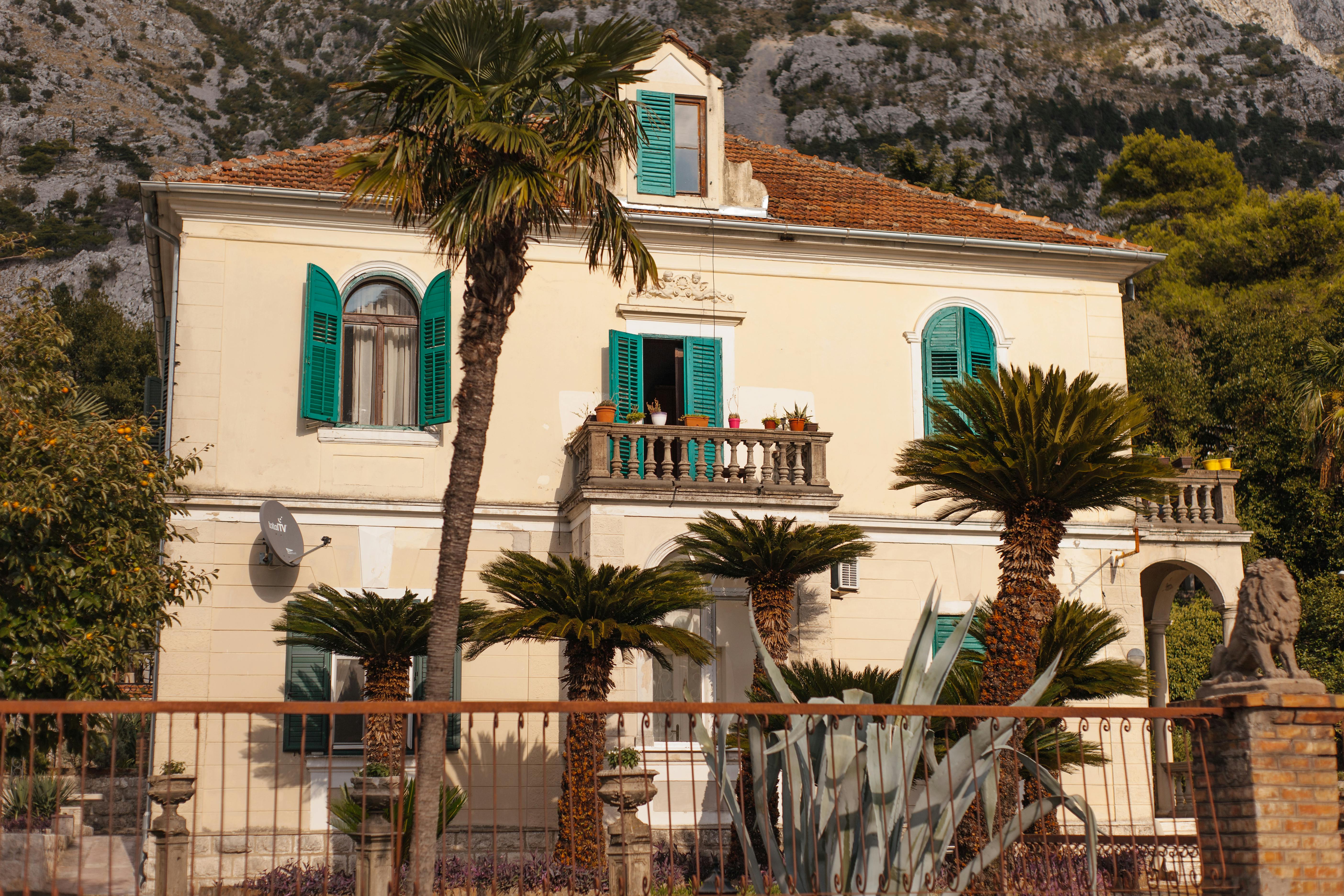 vacation house with palm trees