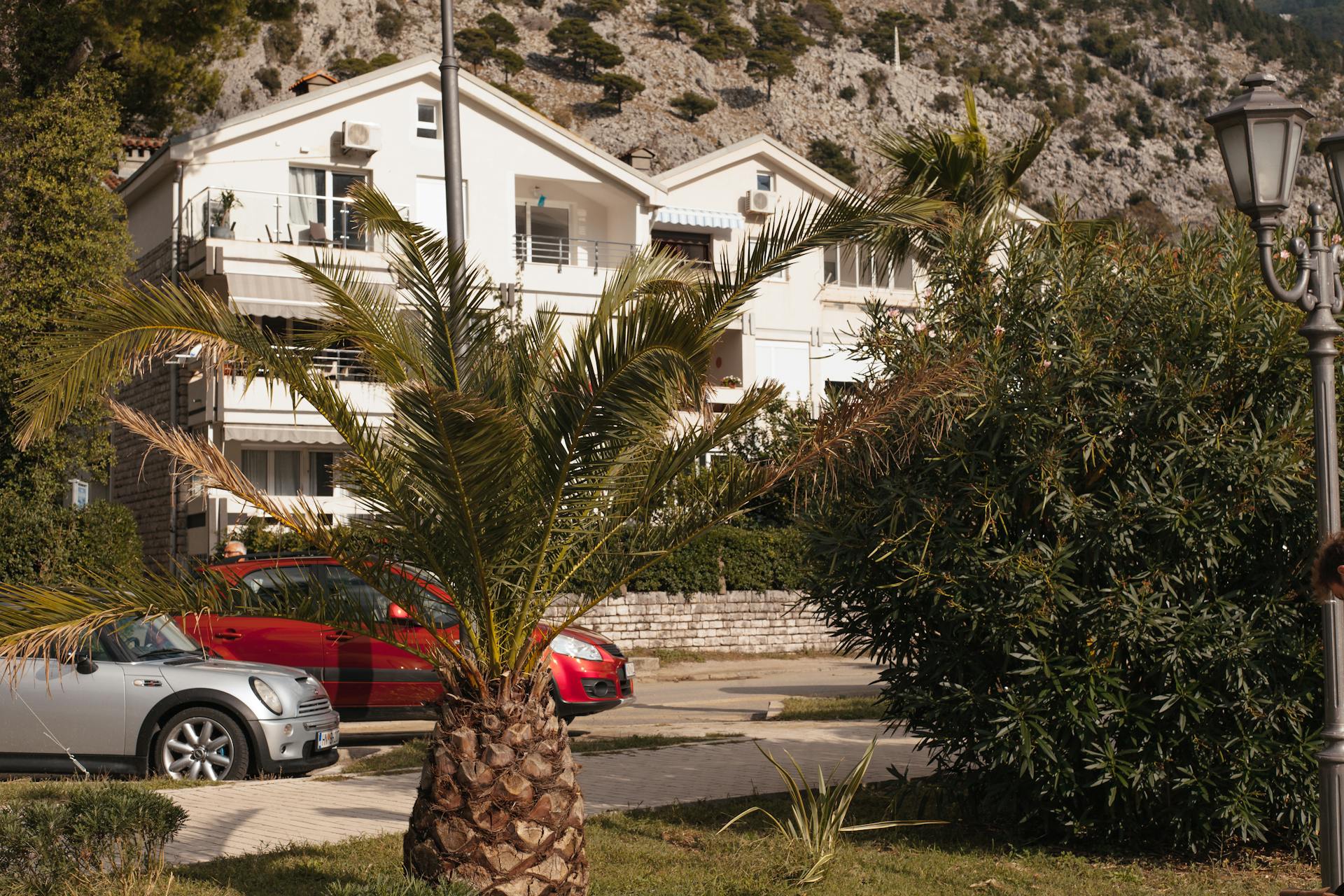 Charming Mediterranean villa with palm tree and parked cars, reflecting a tropical vacation vibe.