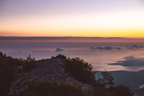 Green Trees on the Mountain during Sunset