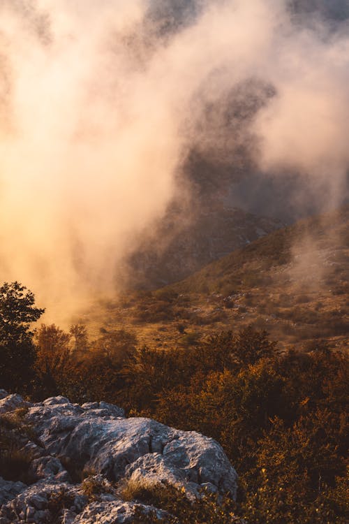 Green Trees on Mountain Under White Clouds