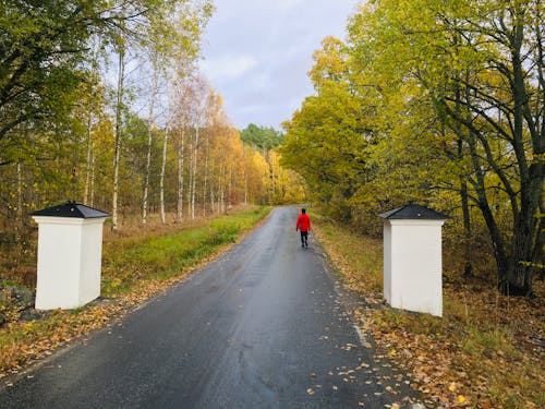 Person in Red Jacket Walking on Road Near Green Trees