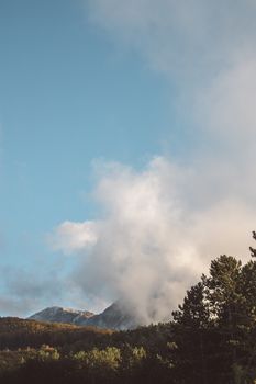晴朗的天空下，薄雾与树木环绕着宁静的山景，捕捉到大自然的静谧
