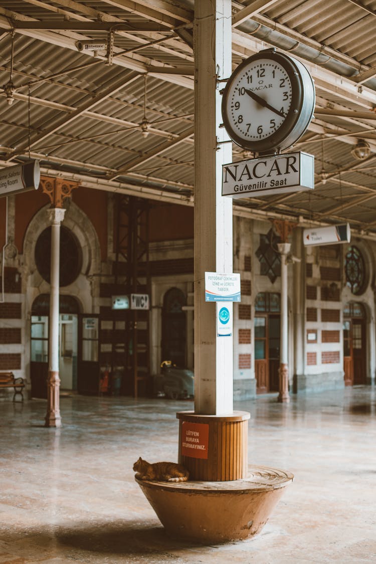 White And Black Analog Clock On A Column