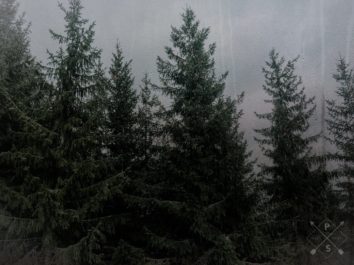 lawyers discussing client fairness and algorithm transparency