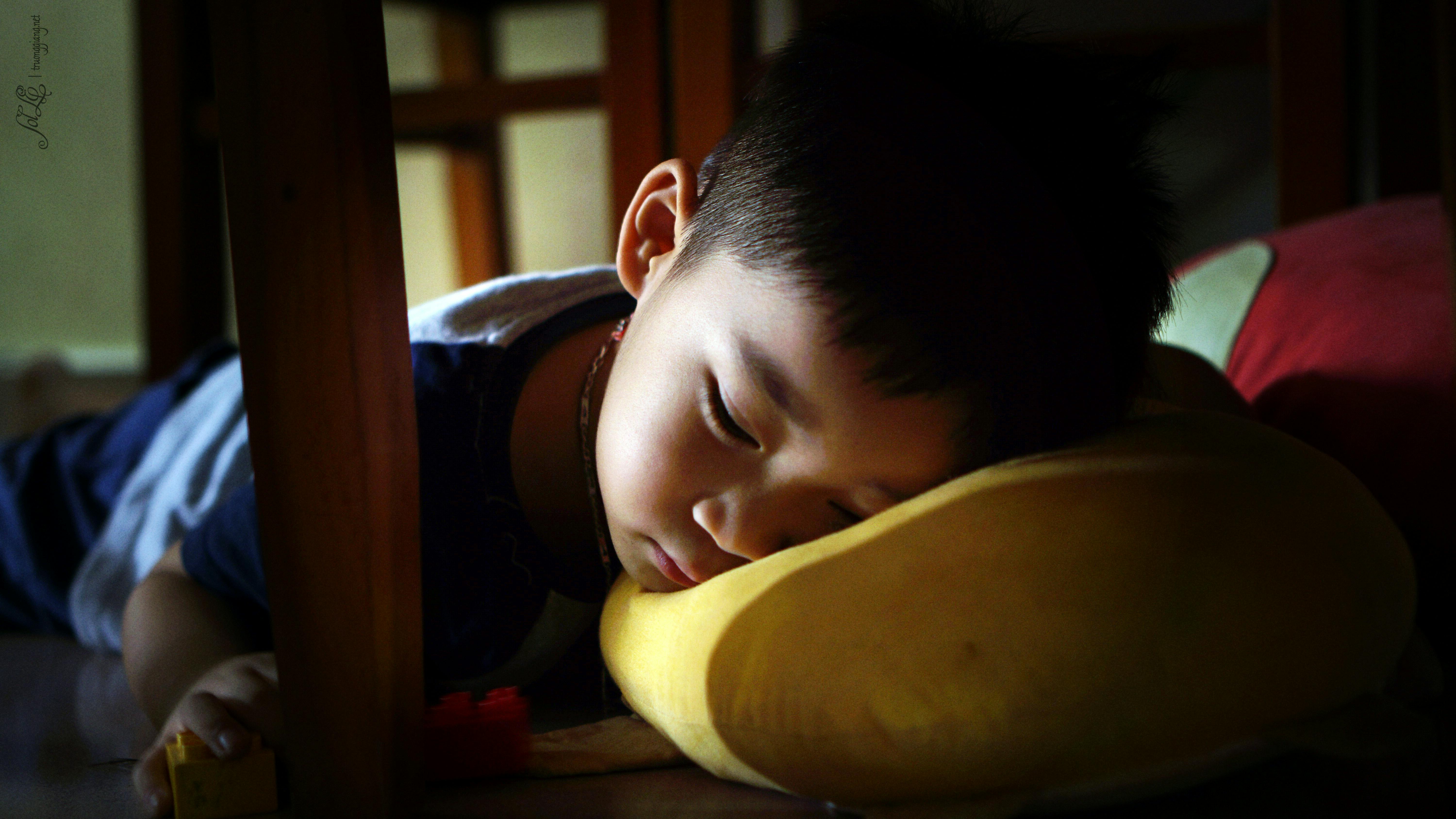 Free stock photo of Sleep under table