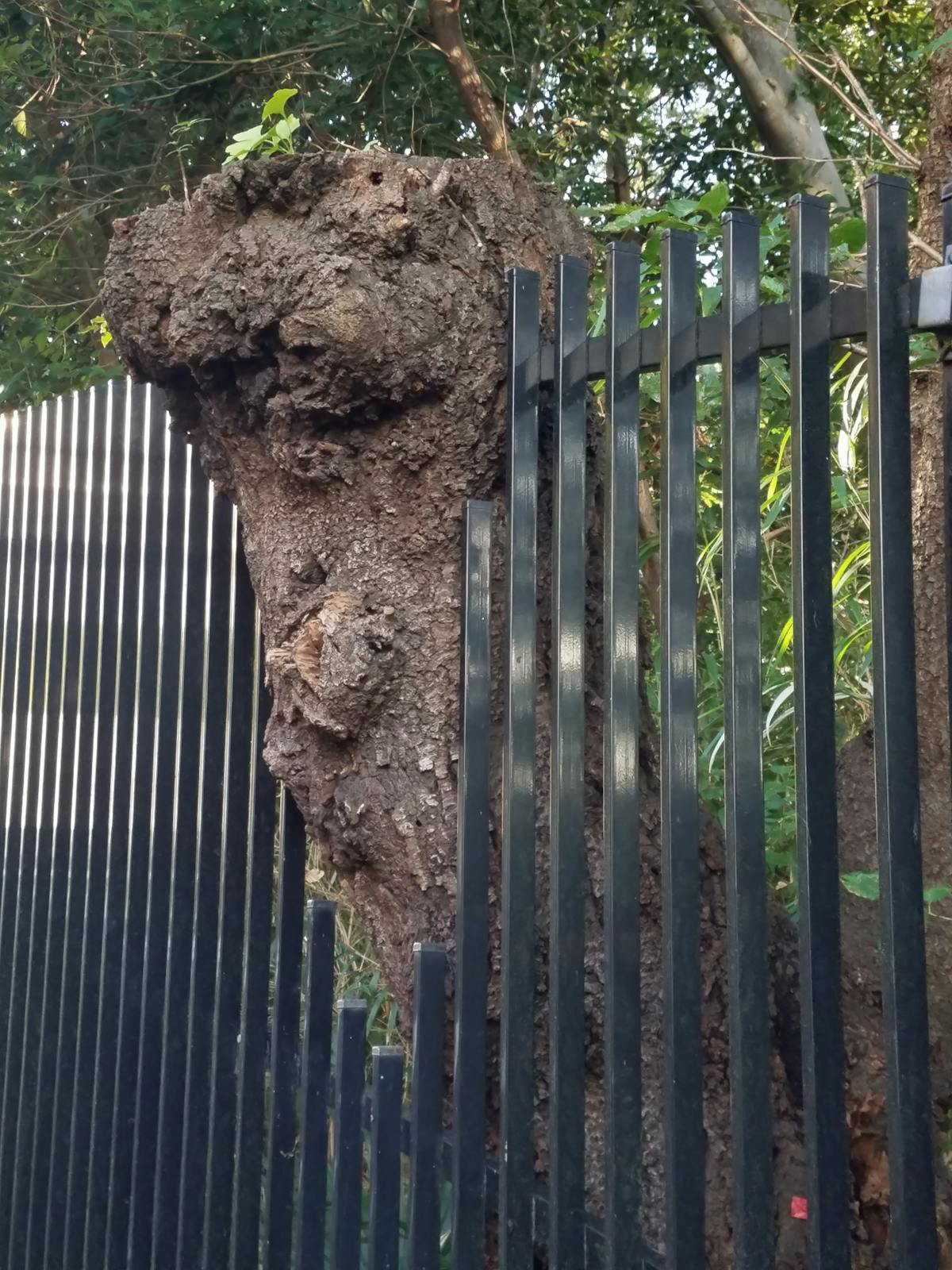 AI legal analytics market data and profit-driven client filtering