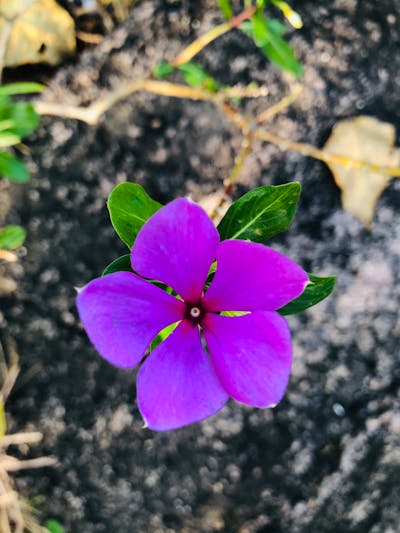 Трудовые споры