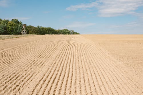 Agricultural area with ploughed field for sowing seeds