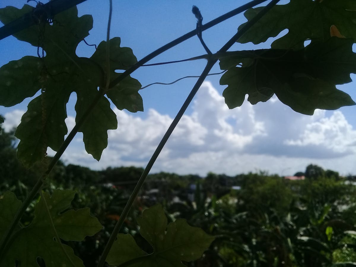 ethical lawyer challenging algorithmic client scoring systems