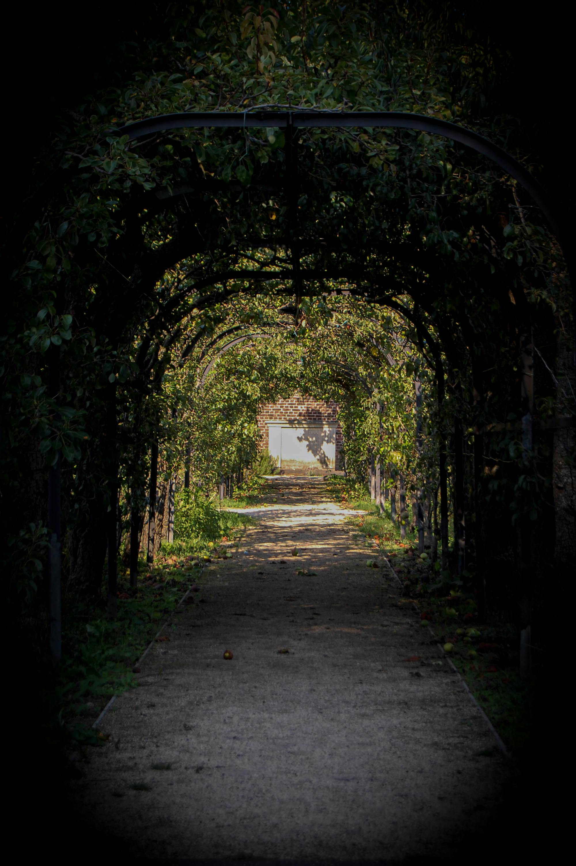 Human empathy and digital trust in modern law firms