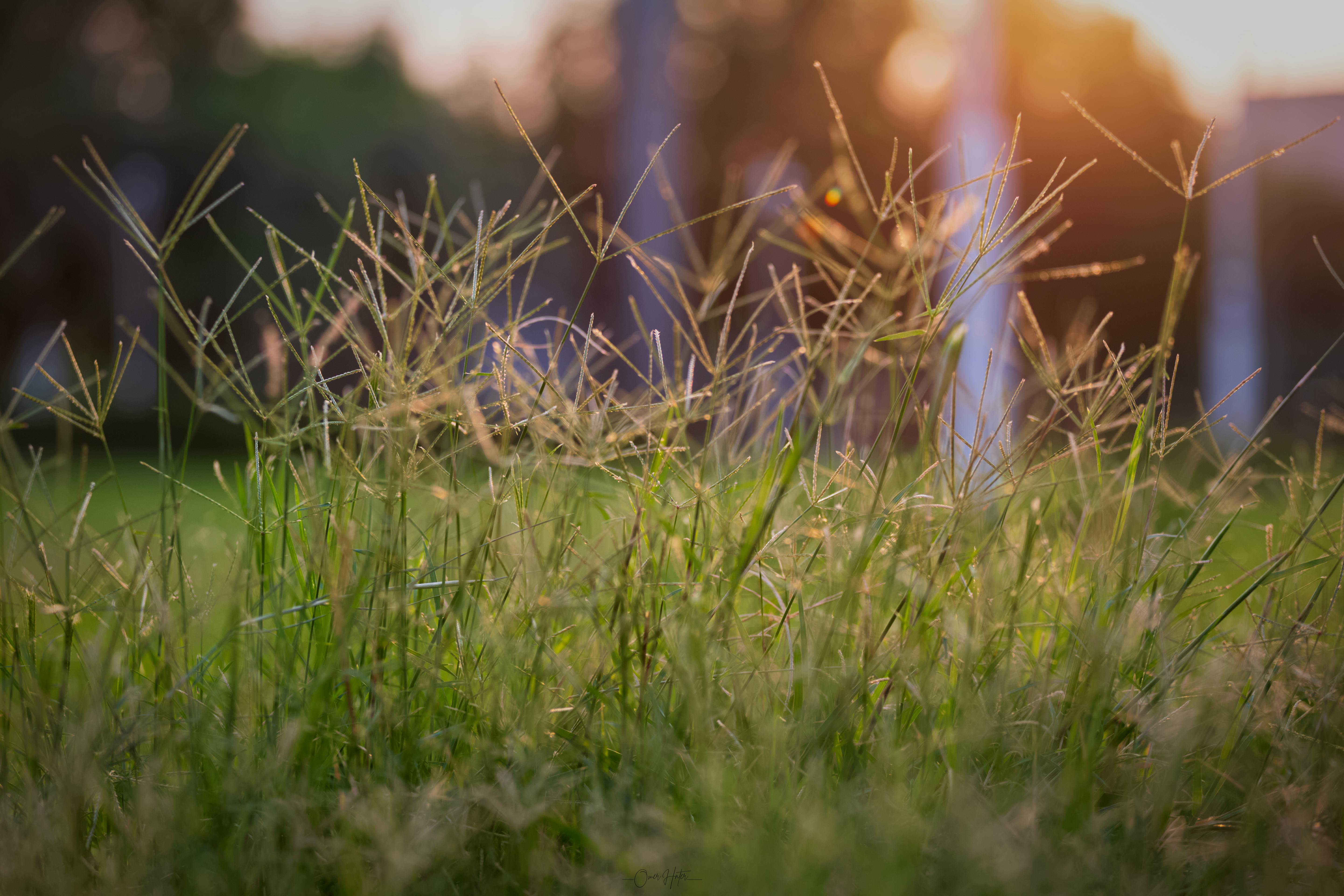 Rehumanizing modern law firms through human empathy