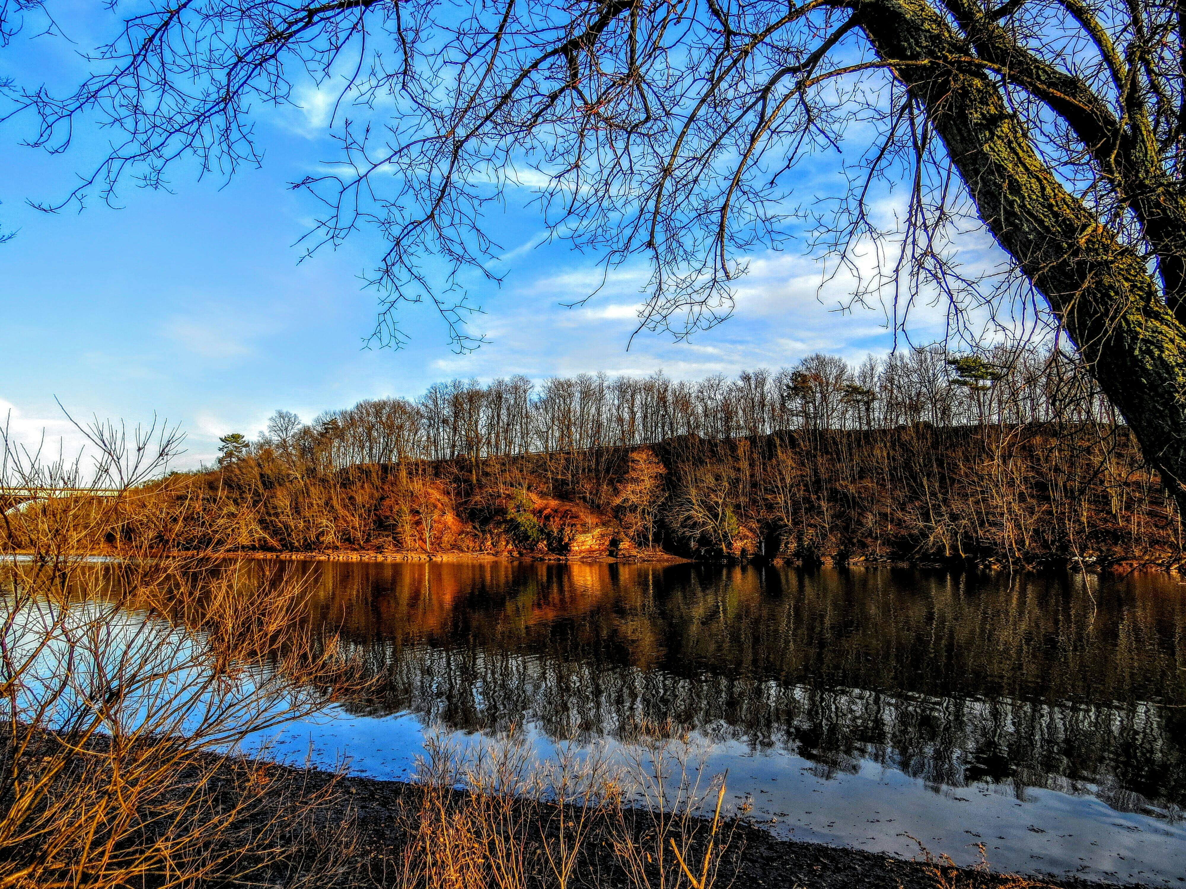 Attorney and client handshake representing trust and integrity