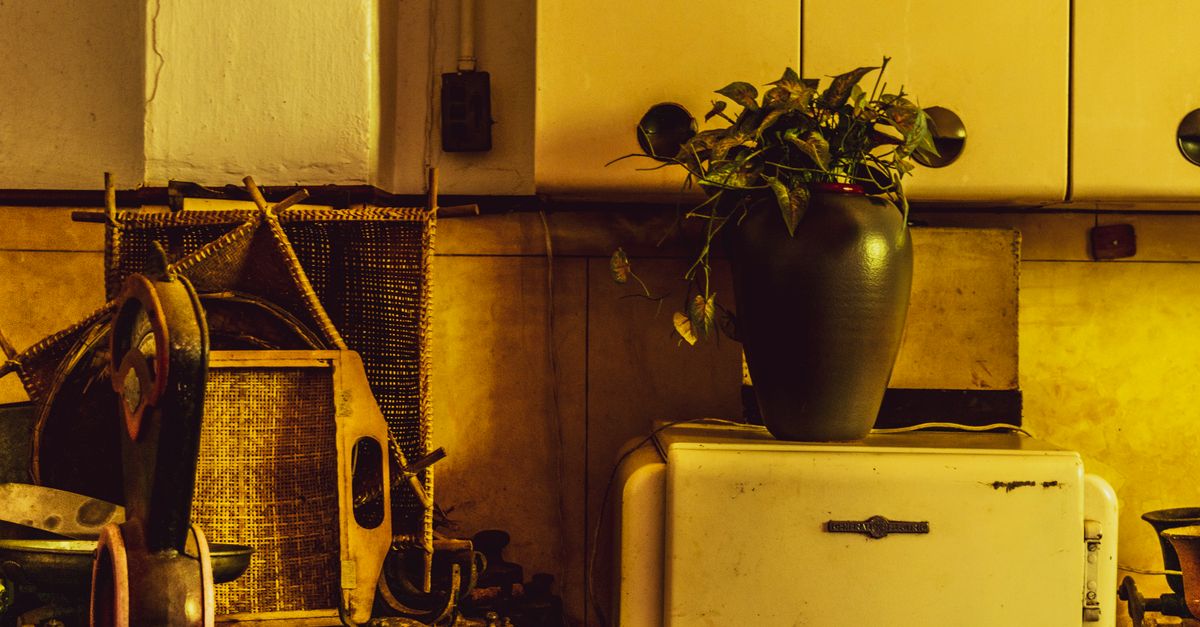 Cómo la invención del refrigerador cambió la industria del hielo natural Cómo la invención del refrigerador cambió la industria del hielo natural