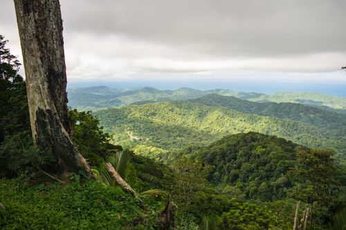 Free Breathtaking view of lush mountainous terrain and forest under a cloudy sky, showcasing natural beauty. Stock Photo