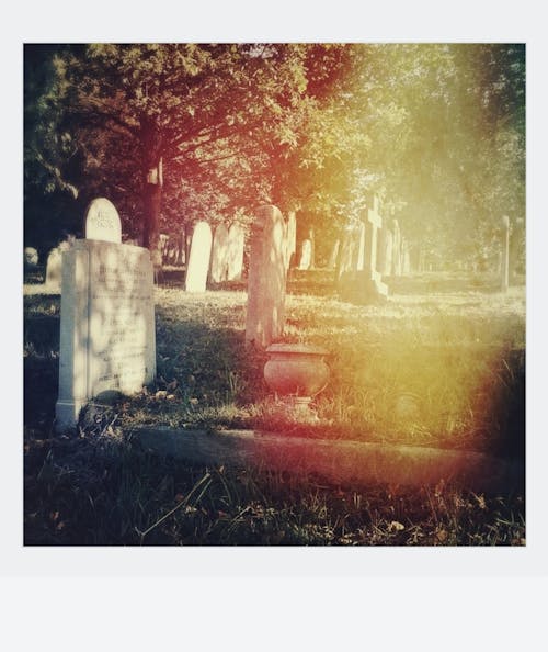 Gratis lagerfoto af græs, grav, kirkegård