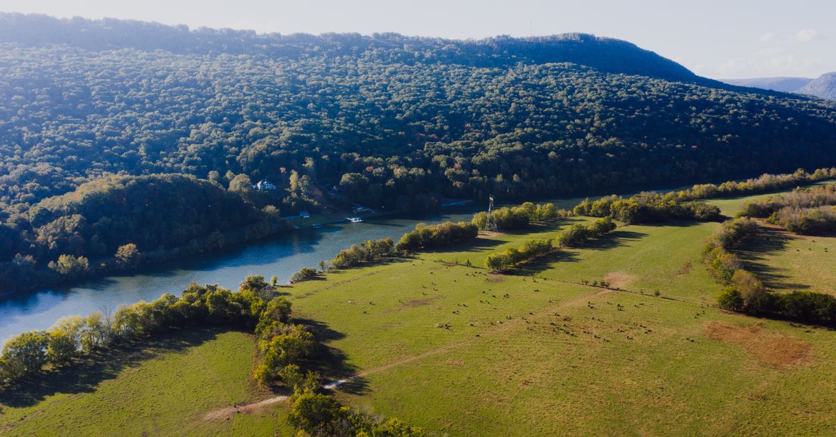 Drone scenery of azure narrow river flowing among verdant forest and grassy valley on sunny summer day