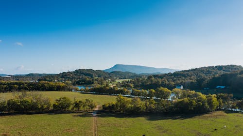 Kostenloses Stock Foto zu außerorts, bach, blauer himmel