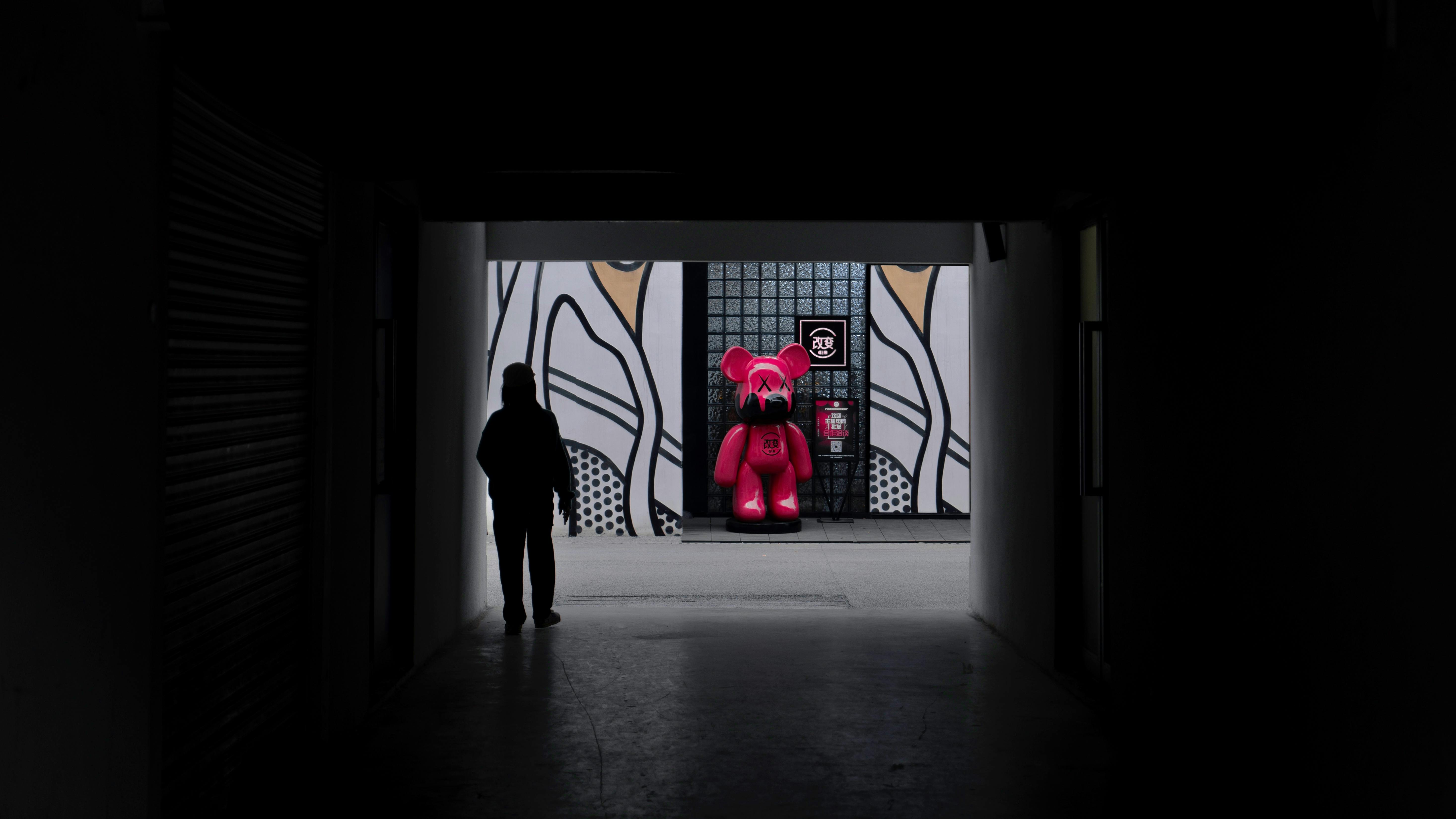 Silhouette of a Person Walking Toward the Bear Figurine