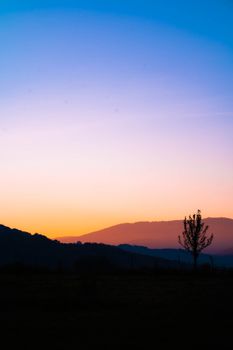 Vibrant sunset with a silhouette of a tree against a mountain backdrop.