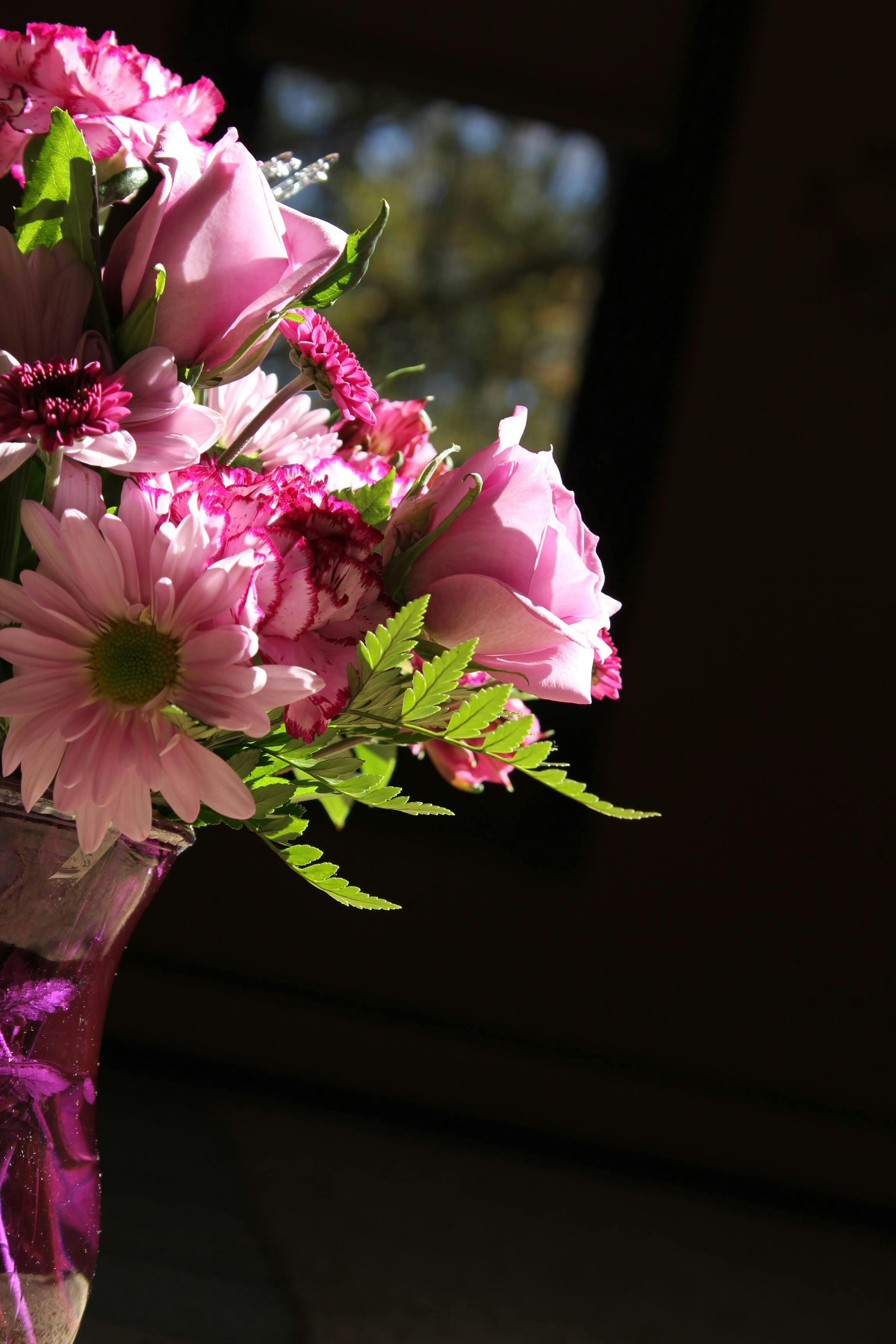 노부부가 법률 서류를 앞에 놓고 대화하는 모습