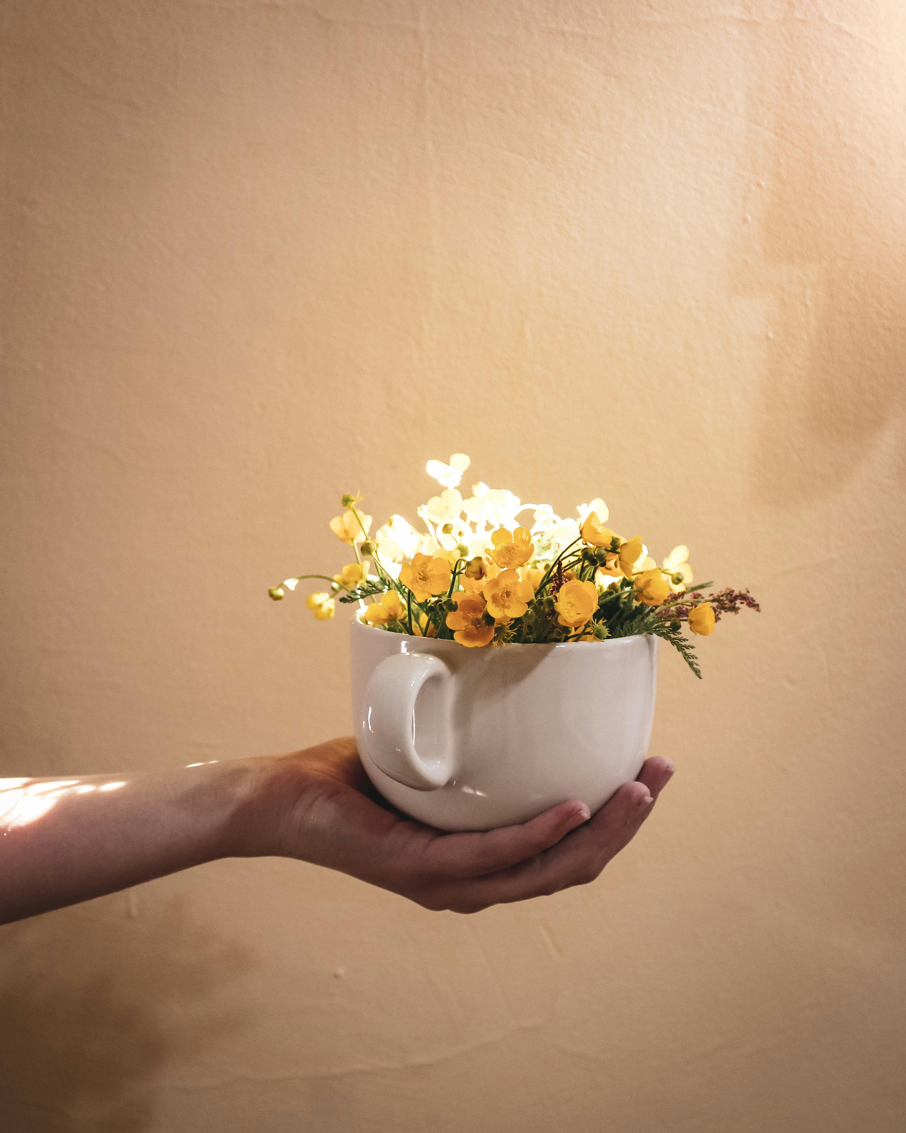 A hand holds a white cup filled with delicate yellow flowers against a warm background.