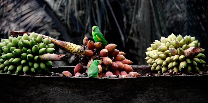 一只明亮的绿色鹦鹉栖息在成捆的香蕉和热带水果上，展现了农业环境中的野生动物