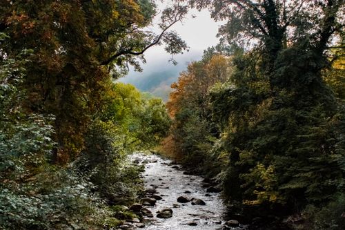 Free Peaceful autumn river scene with flowing water and colorful forest trees. Stock Photo