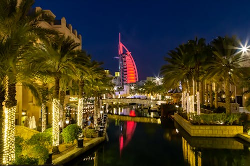 Palm Trees around Canal in Dubai at Night