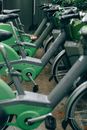 Green and Gray Bicycles Parked Together