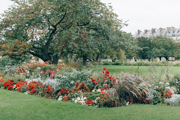 Flowers In A Garden In Europe