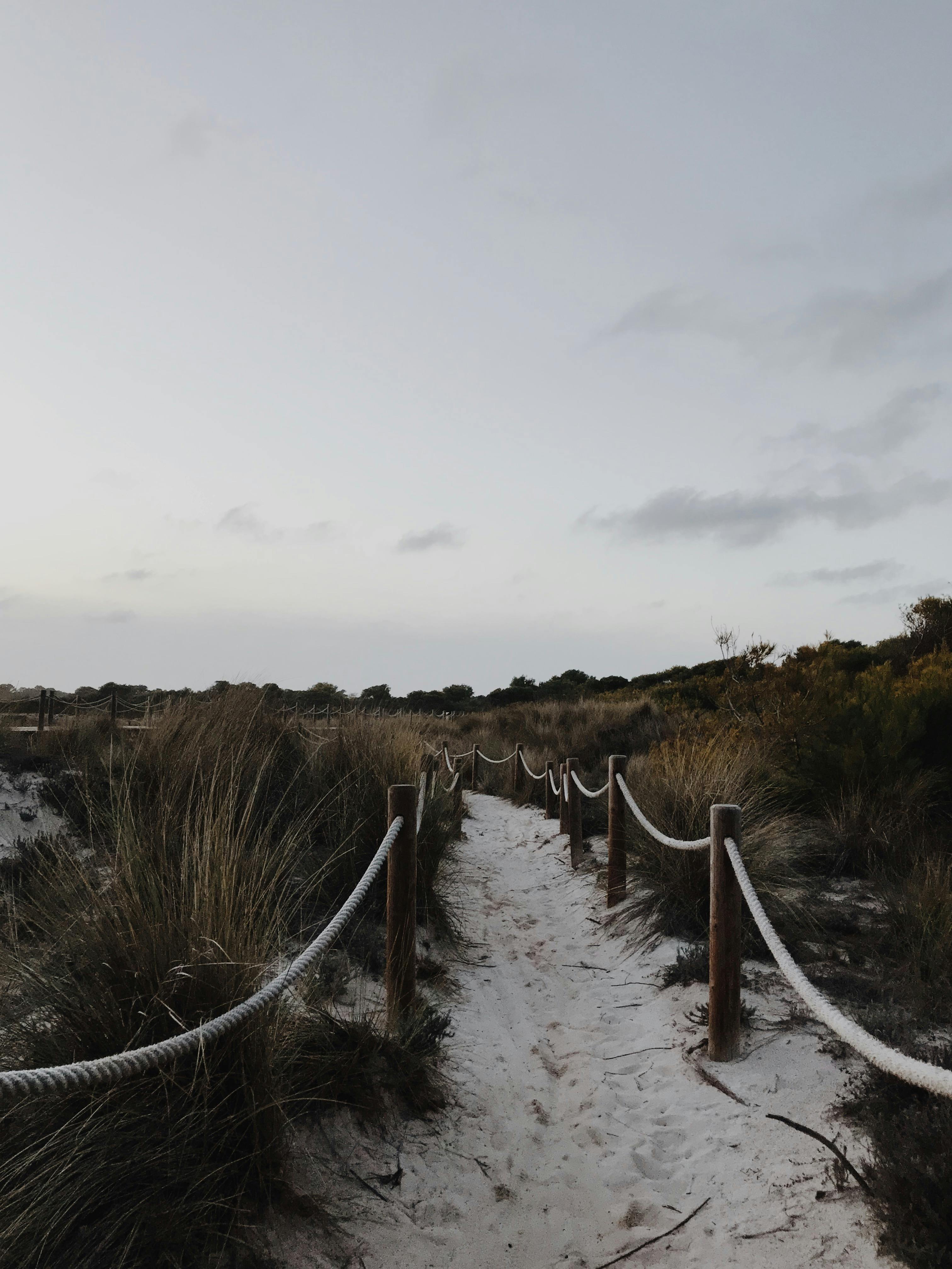 sandy path with wooden poles