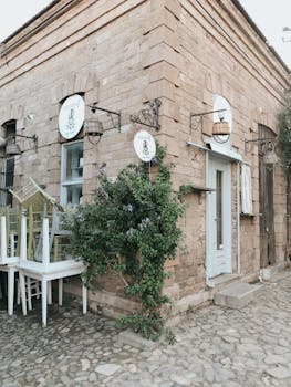 Rustic brick building corner with hanging plants and cobblestone street.