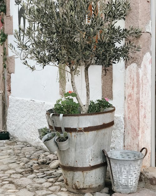 Foto d'estoc gratuïta de a l'aire lliure, cassoles, en test