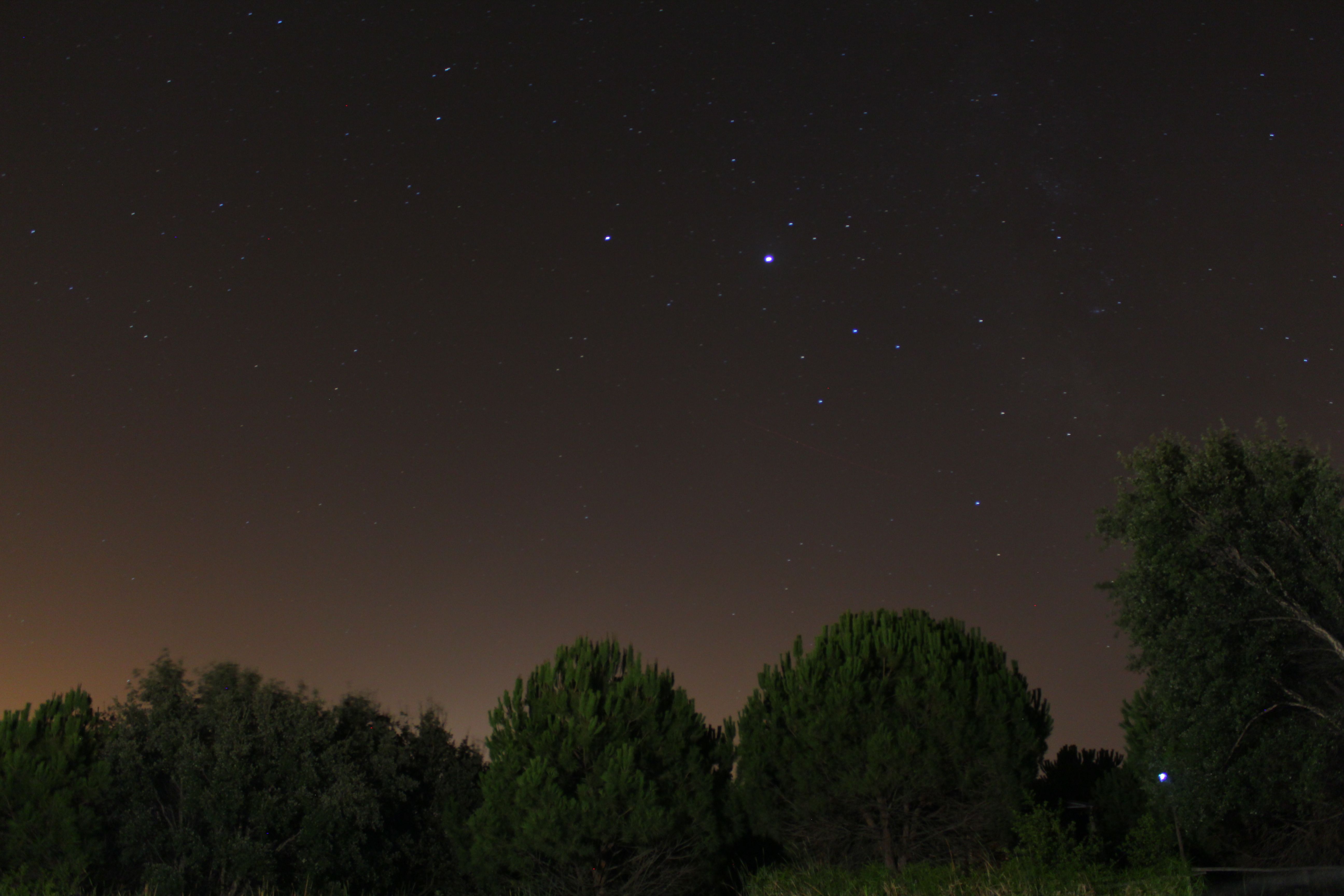 宁静的夜色中，树木的轮廓上方点缀着星星