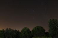 宁静的夜色中，树木的轮廓上方点缀着星星