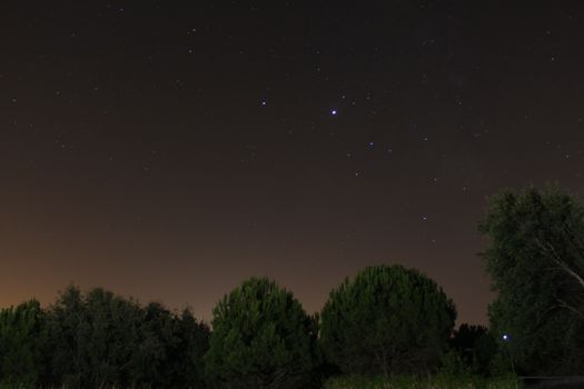 宁静的夜色中，树木的轮廓上方点缀着星星