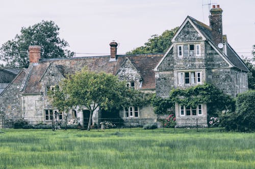 Free Gray Concrete House Surrounded by Trees Stock Photo