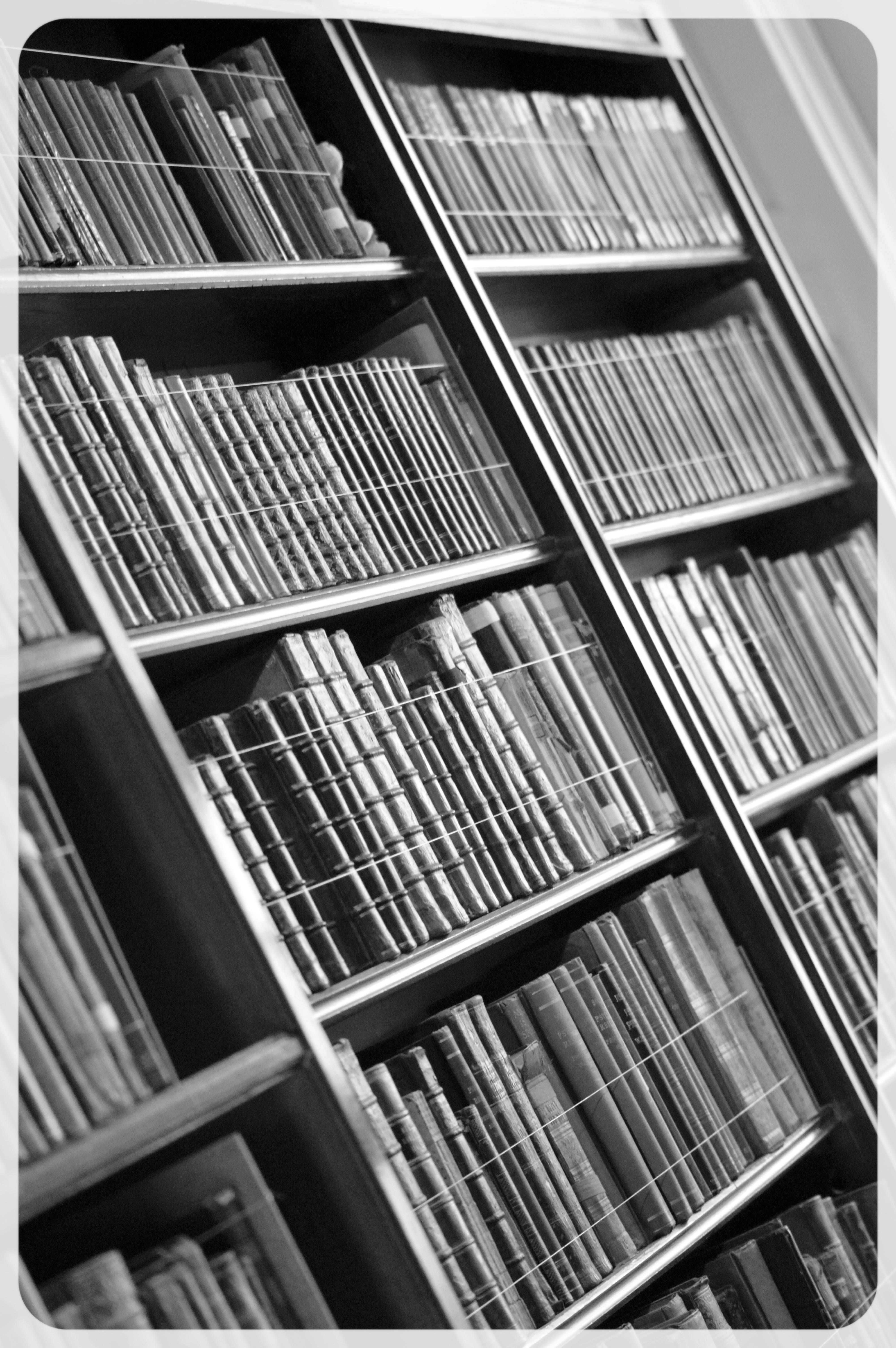black and white books on shelf
