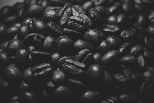 Free Textured close-up of dark roasted coffee beans in a monochrome style. Stock Photo