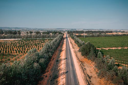 Free Scenic aerial view of a road dividing lush farmland in Huíla, Angola. Stock Photo