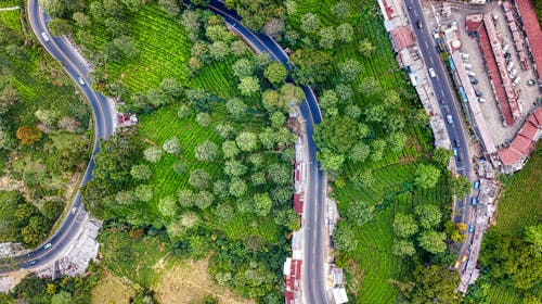 Drone view of curving asphalt road in suburb with green trees and lush green bushes near parking lot with cars
