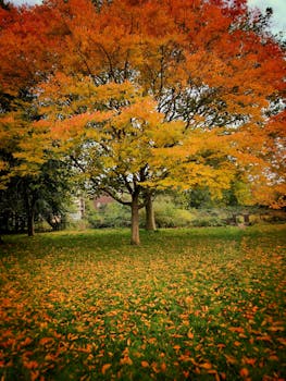 London Borough of Hillingdon