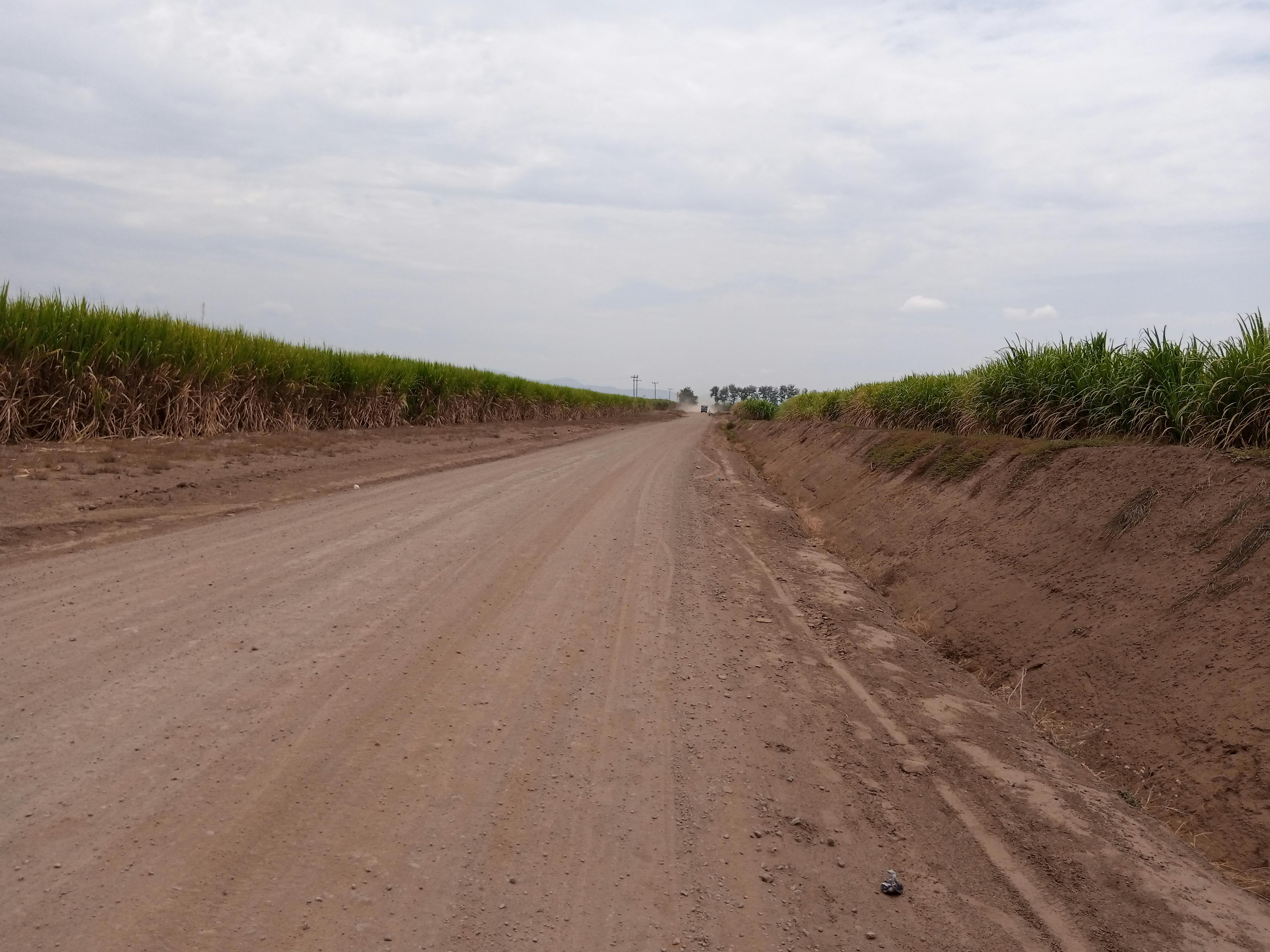 Woman creating content on a laptop with creative tools.