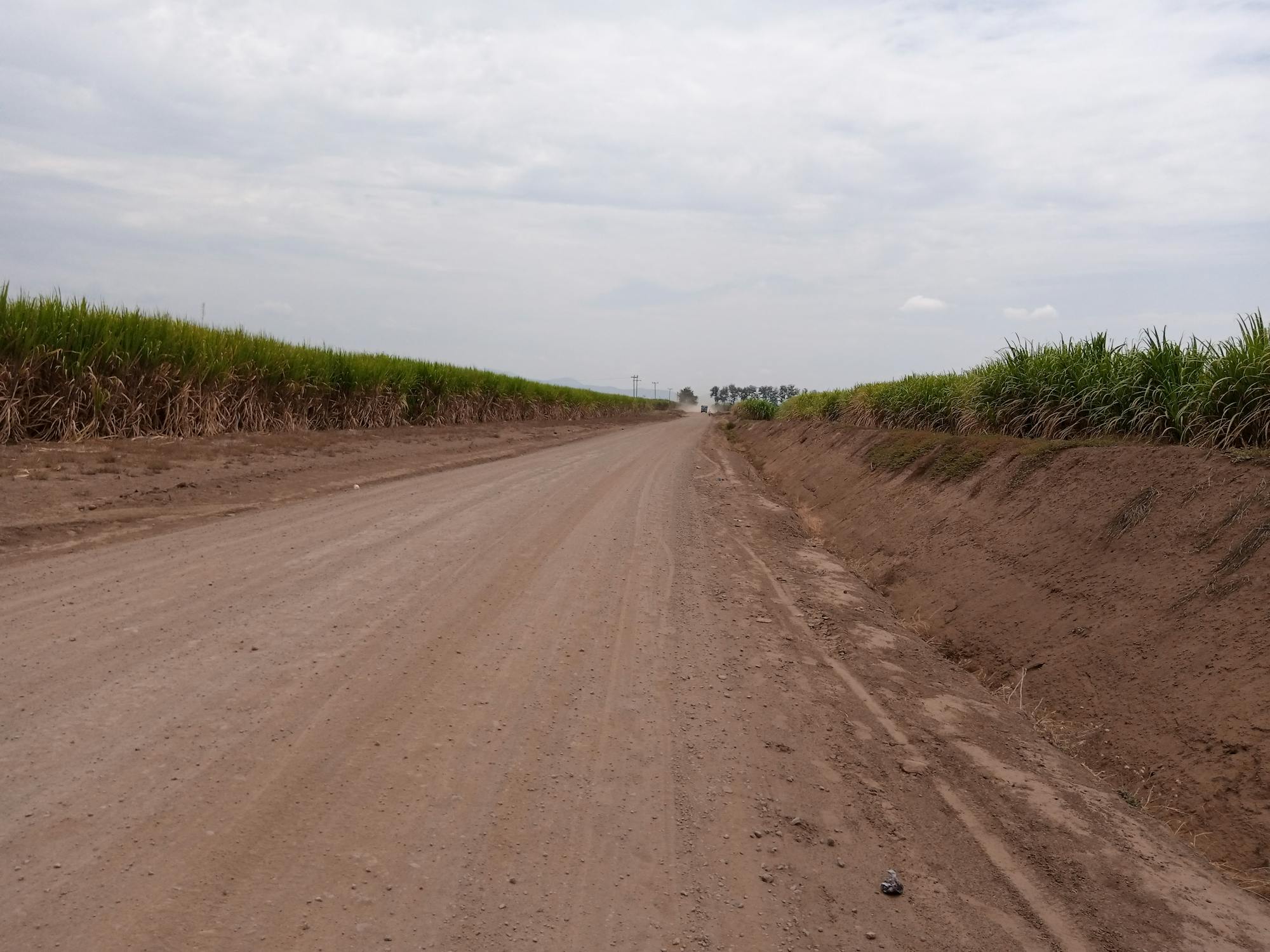 Woman creating content on a laptop with creative tools.